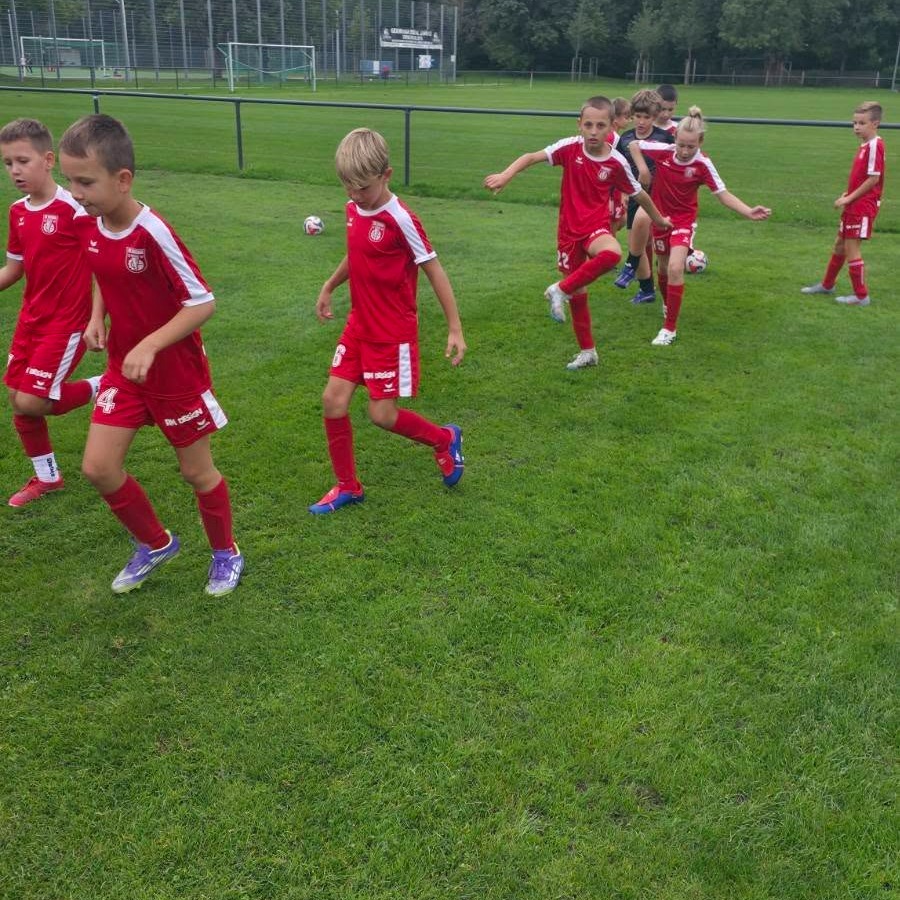 u11-2